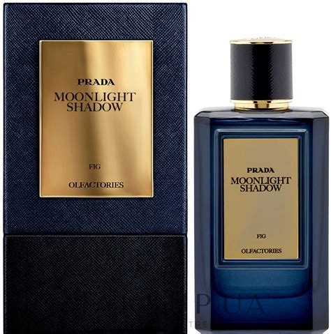 prada olfactories moonlight shadow fig|Olfactories .